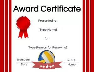 Volleyball certificate generator