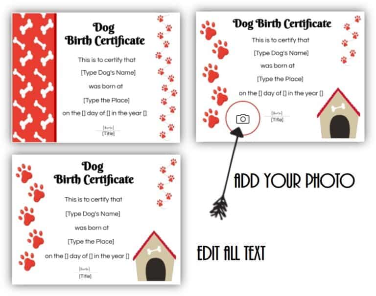 FREE Editable Printable Dog Birth Certificate Dog Adoption Certificate