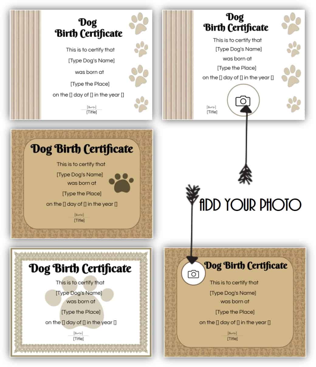 FREE Editable & Printable Dog Birth Certificate Dog Adoption Certificate
